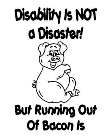 Disability Is Not A Disaster